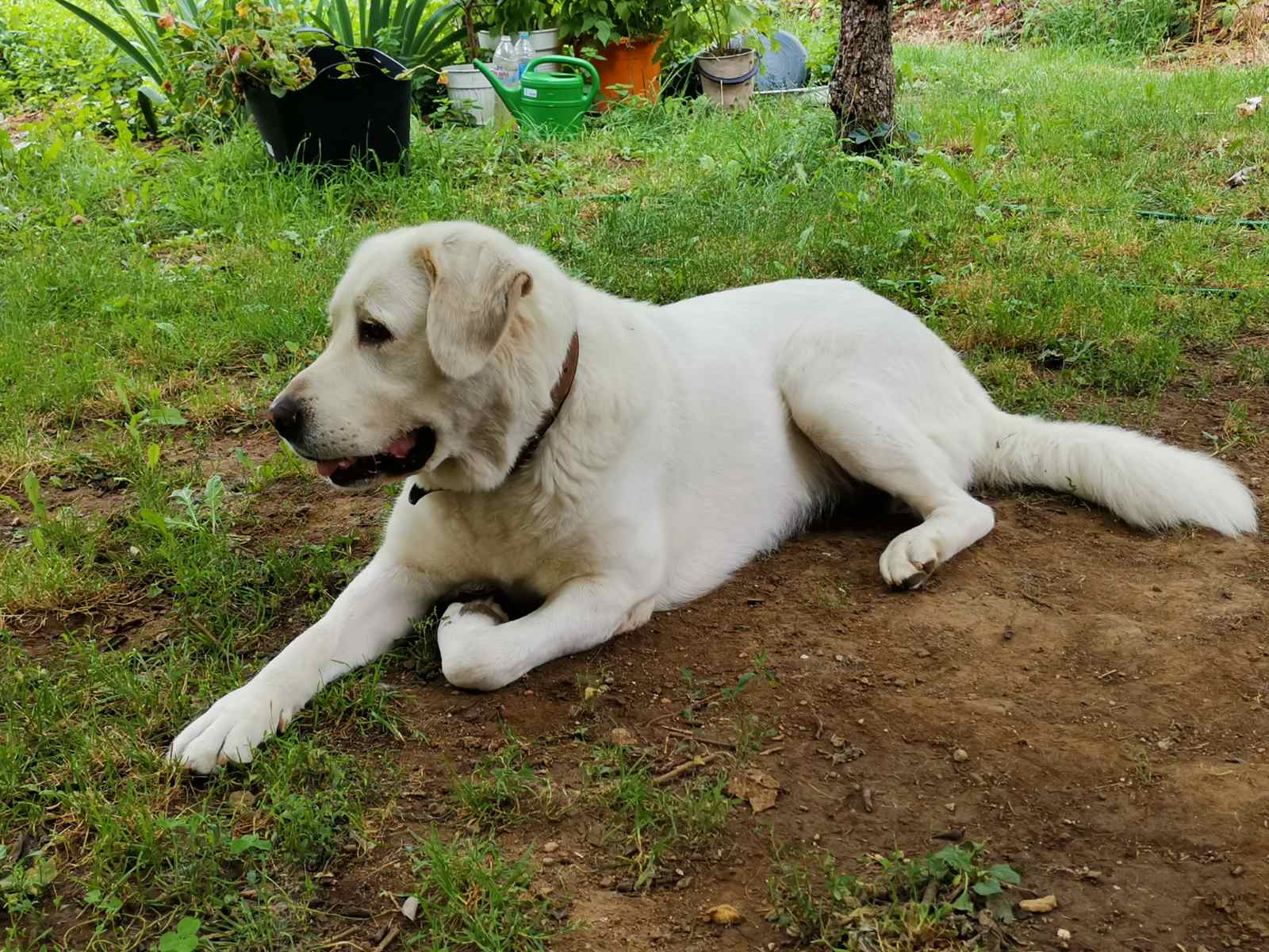 Кадър от кабинета