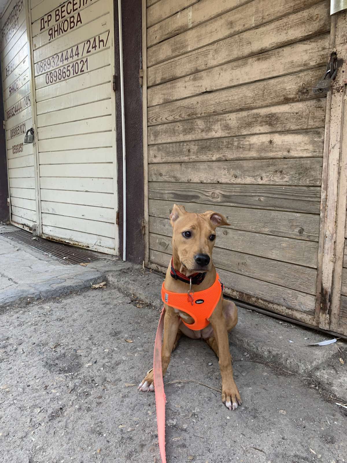 Кадър от кабинета