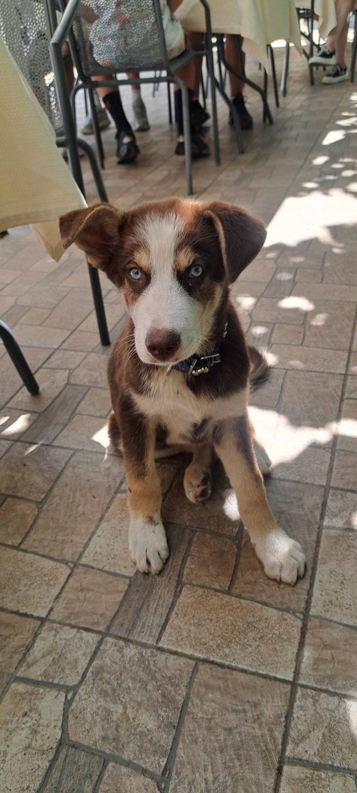 Кадър от кабинета