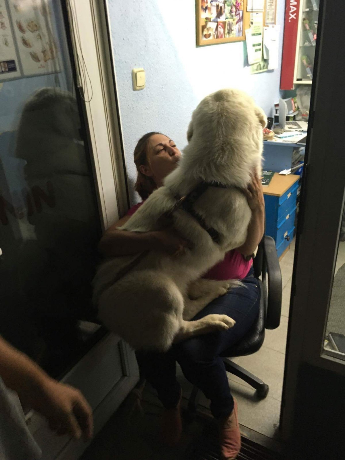 Кадър от кабинета